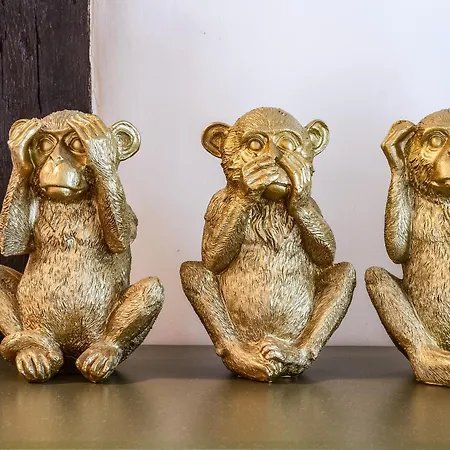 Apartamento Confort Vieux Avec Parking Privé 4p *